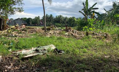 LOT FOR SALE IN DUMAGUETE CITY ID 14757