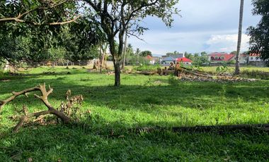 LOT FOR SALE IN DUMAGUETE CITY ID 14757