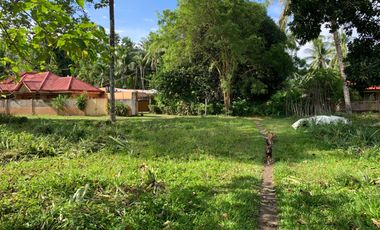 LOT FOR SALE IN DUMAGUETE CITY ID 14757