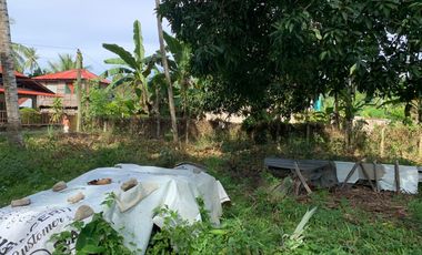 LOT FOR SALE IN DUMAGUETE CITY ID 14757