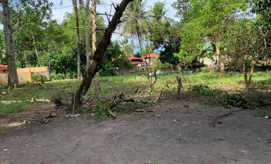 LOT FOR SALE IN DUMAGUETE CITY ID 14757