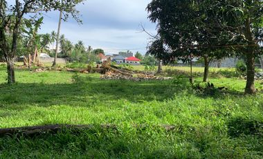 LOT FOR SALE IN DUMAGUETE CITY ID 14757