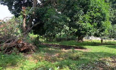 LOT FOR SALE IN DUMAGUETE CITY ID 14757