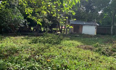 LOT FOR SALE IN DUMAGUETE CITY ID 14757