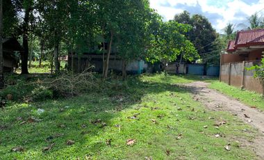 LOT FOR SALE IN DUMAGUETE CITY ID 14757