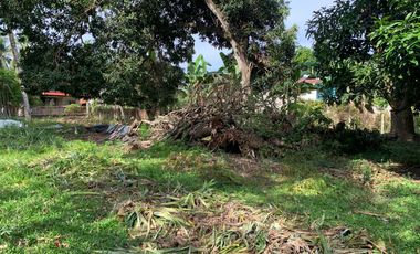 LOT FOR SALE IN DUMAGUETE CITY ID 14757