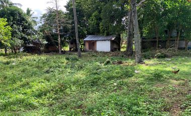 LOT FOR SALE IN DUMAGUETE CITY ID 14757