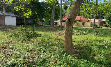 LOT FOR SALE IN DUMAGUETE CITY ID 14757