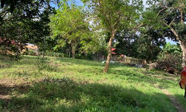 LOT FOR SALE IN DUMAGUETE CITY ID 14757