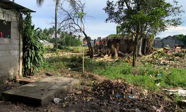 LOT FOR SALE IN DUMAGUETE CITY ID 14757