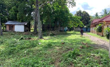 LOT FOR SALE IN DUMAGUETE CITY ID 14757