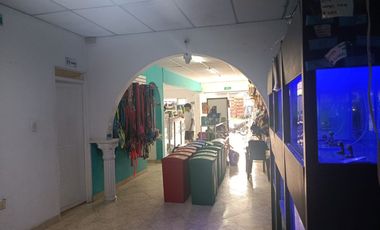 ANDALUCIA, SE VENDE PROPIEDAD DE UN PISO ALTAMENTE COMERCIAL