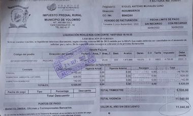 ! EXCELENTE OPORTUNIDAD! TERRENO DE UNA HECTÁREA ENTRE YOLOMBÓ Y YALÍ ANTIOQUIA.