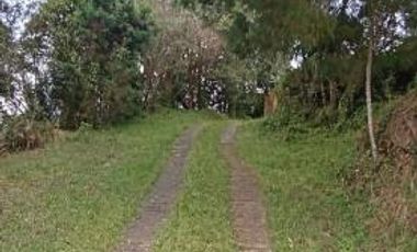 FINCA EN GUARNE