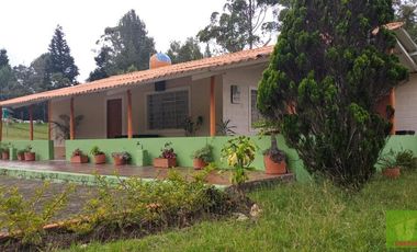 FINCA EN GUARNE