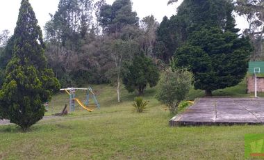 FINCA EN GUARNE
