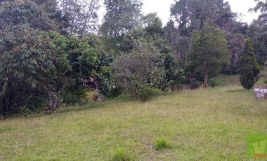 FINCA EN GUARNE