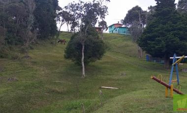 FINCA EN GUARNE