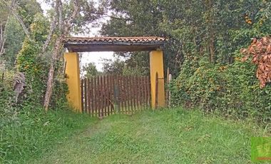 FINCA EN GUARNE