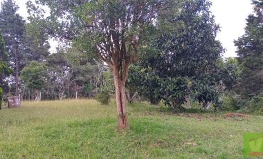 FINCA EN GUARNE