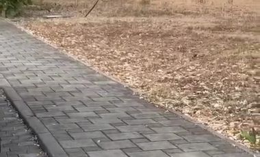 Terrenos de Venta en Isla Mocolí