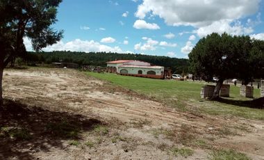 LOTES ECOLOGICOS PARA CABAÑAS ,CASA DE CAMPO O PROYECTO DE PERMACULTURA.