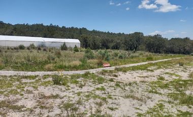 LOTES ECOLOGICOS PARA CABAÑAS ,CASA DE CAMPO O PROYECTO DE PERMACULTURA.