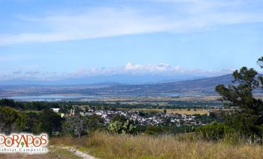 LOTES ECOLOGICOS PARA CABAÑAS ,CASA DE CAMPO O PROYECTO DE PERMACULTURA.