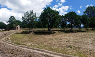 LOTES ECOLOGICOS PARA CABAÑAS ,CASA DE CAMPO O PROYECTO DE PERMACULTURA.