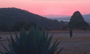 LOTES ECOLOGICOS PARA CABAÑAS ,CASA DE CAMPO O PROYECTO DE PERMACULTURA.