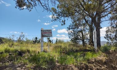 LOTES ECOLOGICOS PARA CABAÑAS ,CASA DE CAMPO O PROYECTO DE PERMACULTURA.