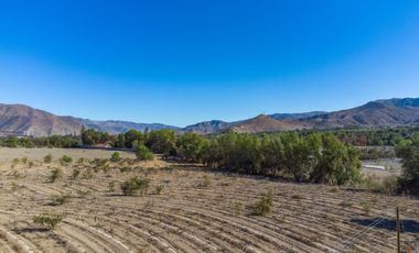 Última parcela plana, a 10 minutos de Vicuña. Electricidad, agua potable y de riego. $65 millones