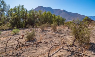 Última parcela plana, a 10 minutos de Vicuña. Electricidad, agua potable y de riego. $65 millones