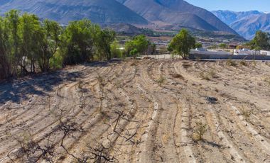 Última parcela plana, a 10 minutos de Vicuña. Electricidad, agua potable y de riego. $65 millones