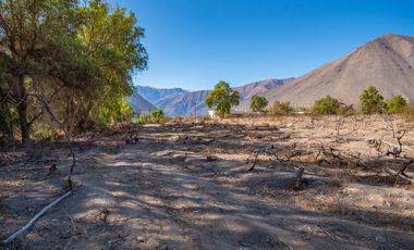 Última parcela plana, a 10 minutos de Vicuña. Electricidad, agua potable y de riego. $65 millones