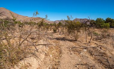 Última parcela plana, a 10 minutos de Vicuña. Electricidad, agua potable y de riego. $65 millones