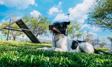 CASA EN VENTA A 15 MINUTOS DE CUERNAVACA, MORELOS. 3 RECÁMARAS, TERRAZA, ALBERCA, CANCHAS DEPORTIVAS Y PET PARK.