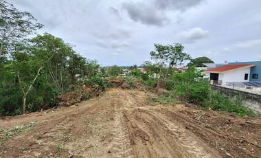 TERRENO / JARDINES / RIO PANUCO