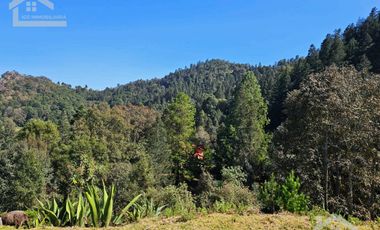 LINDA CABAÑA NUEVA UBICADA EN CARBONERAS MINERAL DEL CHICO