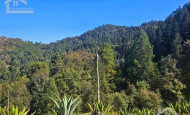 LINDA CABAÑA NUEVA UBICADA EN CARBONERAS MINERAL DEL CHICO