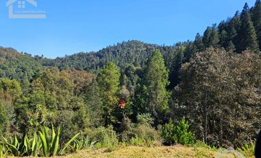 LINDA CABAÑA NUEVA UBICADA EN CARBONERAS MINERAL DEL CHICO