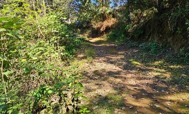 LINDA CABAÑA NUEVA UBICADA EN CARBONERAS MINERAL DEL CHICO