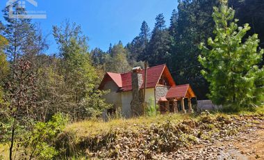 LINDA CABAÑA NUEVA UBICADA EN CARBONERAS MINERAL DEL CHICO