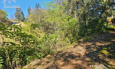 LINDA CABAÑA NUEVA UBICADA EN CARBONERAS MINERAL DEL CHICO