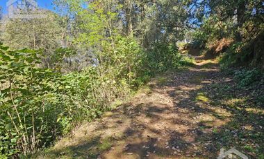 LINDA CABAÑA NUEVA UBICADA EN CARBONERAS MINERAL DEL CHICO