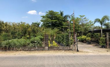 For Sale: 10,000sqm Vacant Lot in Calumpit, Bulacan