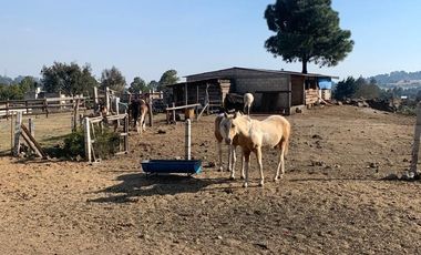 CABAÑA EN VENTA EN MORELOS EN BOSQUE DE TRES MARIAS