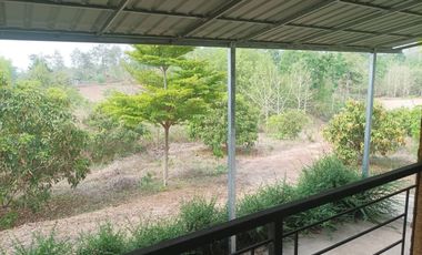 ขายบ้านพร้อมที่ดิน เหมาะทำบ้านสวน บ้านพักตากอากาศ บรรยากาศดี เงียบสงบ ไม่ไกลจากตัวเมือง