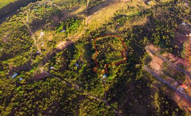 VENDO FINCA PEQUEÑA EN COPECITO EL ESPINO SAN CARLOS PANAMÁ