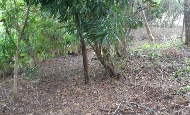 VENDO FINCA PEQUEÑA EN COPECITO EL ESPINO SAN CARLOS PANAMÁ